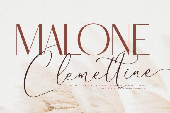 Malone Clemettine: Elevating Campaigns with a Serif Font
